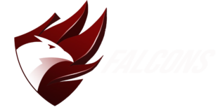 Falcons FC