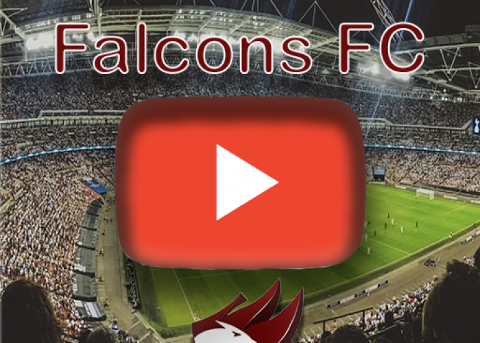 Youtube Falcons